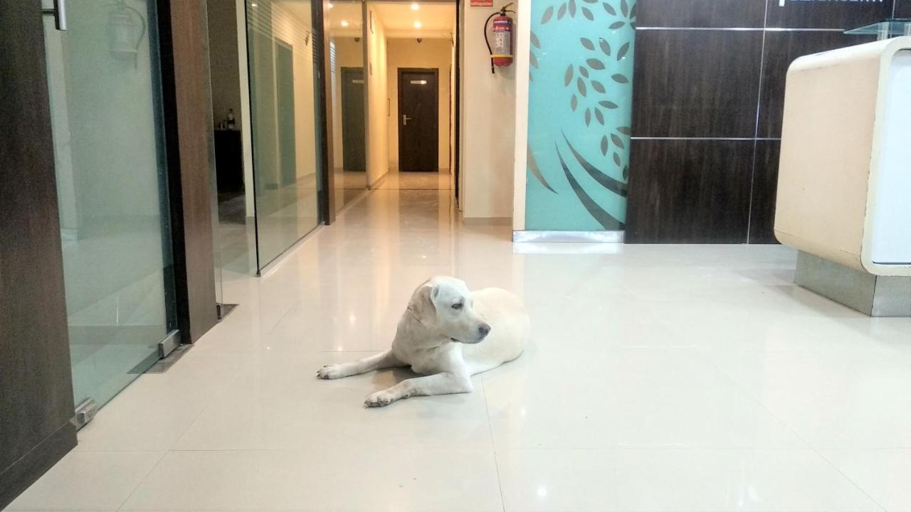 Hotel Sai Srushti By Neem Square Shirdi Exterior foto